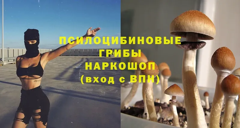 хочу   дарк нет формула  Псилоцибиновые грибы Magic Shrooms  Богородск 